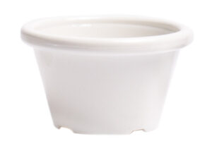 Ramekin