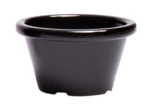 Ramekin